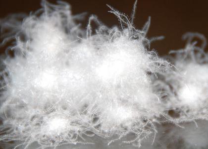 怎么区分羽绒和羽绒棉 羽绒棉 羽绒棉-区分，羽绒棉-特点
