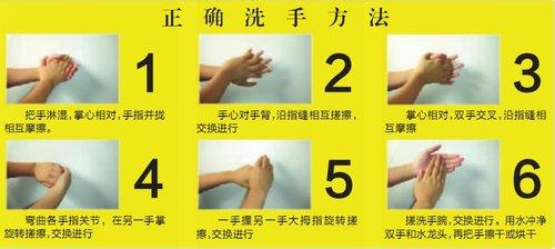 洗手的目的是什么 世界洗手日 世界洗手日-简介，世界洗手日-设立目的
