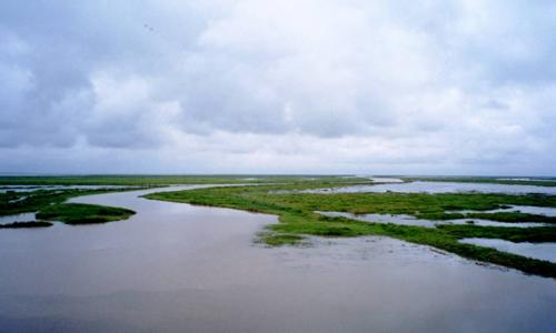 鄱阳湖 鄱阳湖-生态环境，鄱阳湖-管理机构