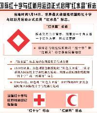 国际红十字与红新月运动 国际红十字与红新月运动-发展历程，国际