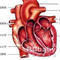 多囊卵巢综合症病因 肝肺综合症 肝肺综合症-概述，肝肺综合症-病因