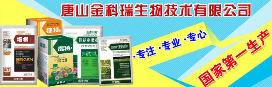 公司基本情况简介 百必佳 百必佳-基本信息，百必佳-公司简介