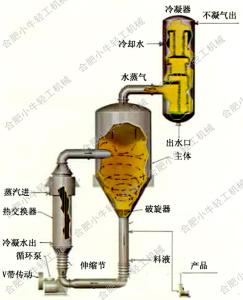 常温蒸发器 强制循环蒸发结晶器