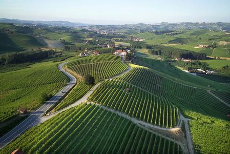 意大利葡萄酒 意大利葡萄酒-自然环境，意大利葡萄酒-产区
