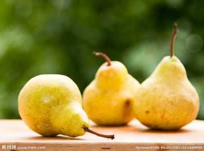 鸭梨 水果品种  鸭梨 水果品种 -简介，鸭梨 水果品种 -来源