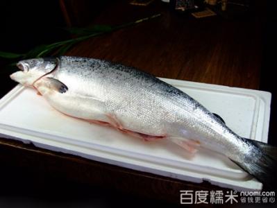 三文鱼 三文鱼-外形特征，三文鱼-生活习性