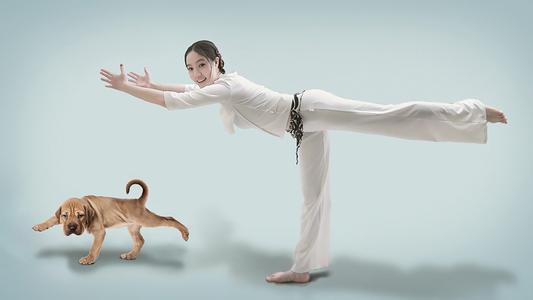 瑜伽伸展带 瑜伽猫 瑜伽猫-起因介绍，瑜伽猫-猫伸展式瑜伽