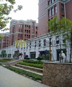 上海卢湾区妇幼保健院 上海卢湾区妇幼保健院-医院简介，上海卢湾