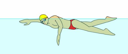 自由泳打腿技巧 自由泳的动作要领