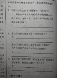 芦花荡阅读题及答案 《芦花荡》阅读阅读答案