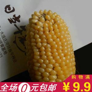 水果玉米种子 水果玉米种子-介绍，水果玉米种子-品种