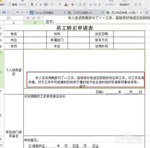 转正申请个人评价 转正申请个人总结