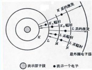 薛定谔穆斯林不相容 泡利不相容