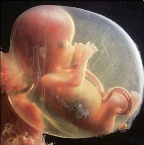 胎儿脐绕颈两圈怎么办 胎儿脐带绕颈怎么办？