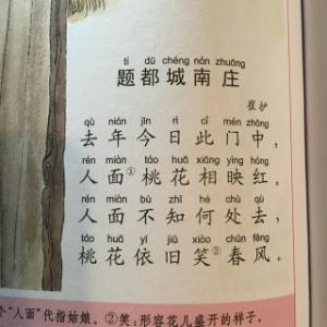 题都城南庄 《题都城南庄》阅读答案