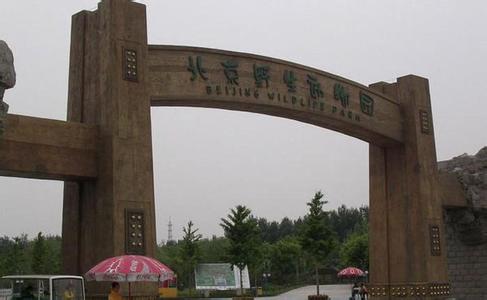 大兴野生动物园 大兴野生动物园-动物园，大兴野生动物园-介绍