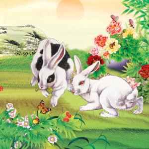 奥奇传说火月兔神 月兔 月兔-词语释义，月兔-相关传说