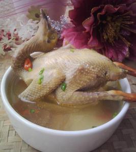鸽子汤怎么炖最营养 清炖鸽子汤的做法
