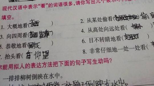 汉语听写大赛词语 完善 完善-汉语词语，完善-相关词语