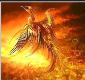 火凤凰 神话传说中的神鸟  火凤凰 神话传说中的神鸟 -传说一，火