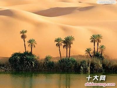 不思议迷宫沙漠绿洲 沙漠绿洲 沙漠绿洲-地理，沙漠绿洲-河水
