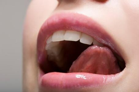 舌头的结构图 舌头 舌头-舌字演变，舌头-功能结构