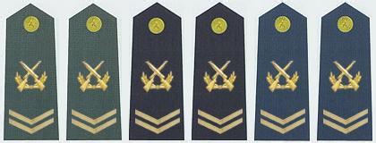 一级军士长肩章 四级军士长 四级军士长-标识，四级军士长-肩章标识