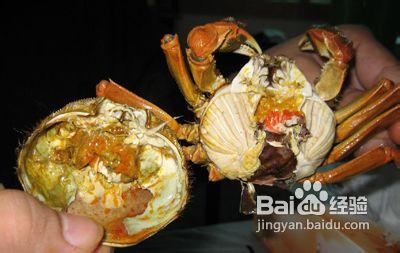 清蒸螃蟹的吃法 清蒸螃蟹的吃法 精
