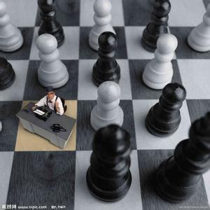 西洋棋游戏 专业西洋棋 专业西洋棋-基本信息，专业西洋棋-游戏简介