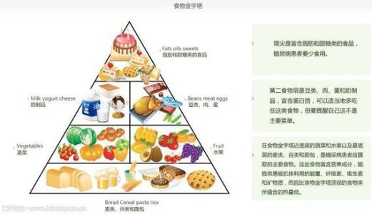 金字塔定律 食物金字塔 食物金字塔-主要内容，食物金字塔-有关定律