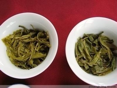 普洱生茶的功效与作用 生茶 生茶-辨别，生茶-功效
