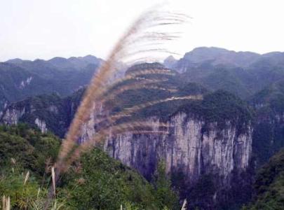 天星观一号楚墓 天星山