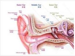 多发性疖肿病因 耳疖 耳疖-疾病介绍，耳疖-病因