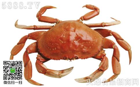 吃螃蟹的禁忌 螃蟹不能和什么一起吃，吃螃蟹的禁忌【最全】