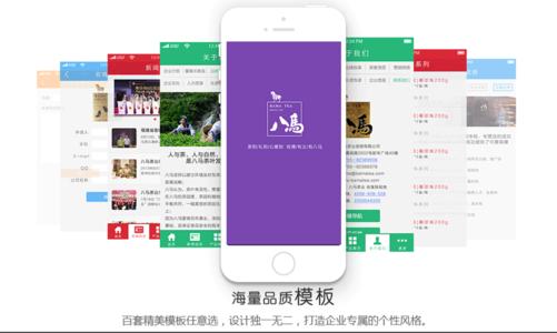 非主流四大家族 app开发 app开发-百科名片，app开发-APP开发四大主流版本