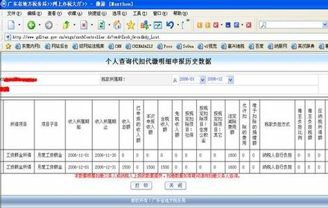 上海市个人所得税 上海市个人所得税实现自行查询功能