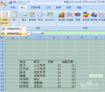 透视投影详解 excel2010数据透视表详解说明