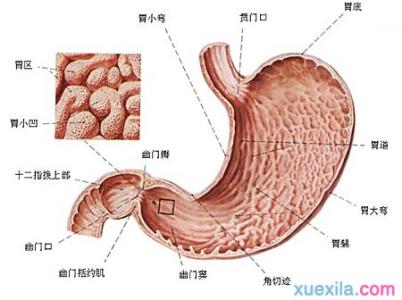 胃癌的早期症状 胃出血的原因