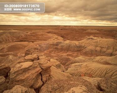毛乌素沙漠森林覆盖率 沙漠[为流沙、沙丘所覆盖的地形] 沙漠[为流沙、沙丘所覆盖的地形