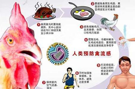 h7n9禽流感怎样传播 H7N9禽流感的症状