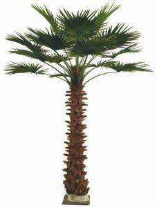 仿真棕榈树 仿真棕榈树 仿真棕榈树-什么是棕榈树，仿真棕榈树-仿真棕榈树