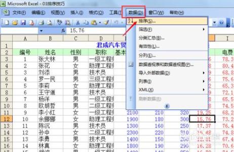 excel2010技巧大全 2010Excel技巧大全 数据的排序