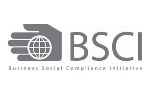 bsci认证有什么好处 BSCI认证 BSCI认证-特点，BSCI认证-好处
