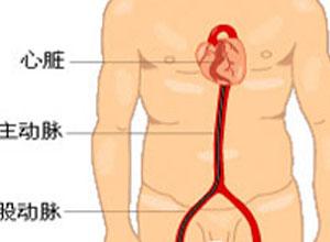 枪击音 枪击音 枪击音-基本内容