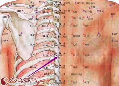 灵台穴位位置图 灵台穴位位置图和作用