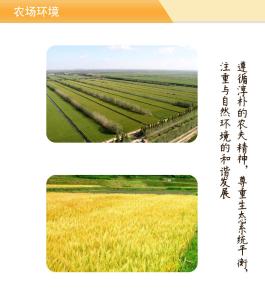 大麦网发展历程 大麦网 大麦网-简介，大麦网-发展历程