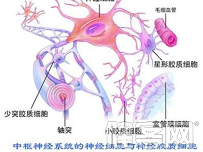 神经胶质瘤分类 神经胶质瘤 神经胶质瘤-疾病概述，神经胶质瘤-疾病分类