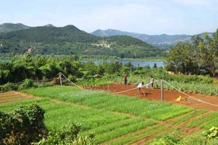 济南龙田农场 龙田农场 龙田农场-龙田农场