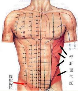 中医经络学说概述 推腹法 推腹法-概述，推腹法-下腹部几条重要的经络