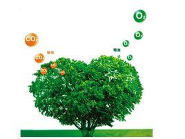 目标跟踪的国内外发展 碳汇 碳汇-发展目标，碳汇-国内法规